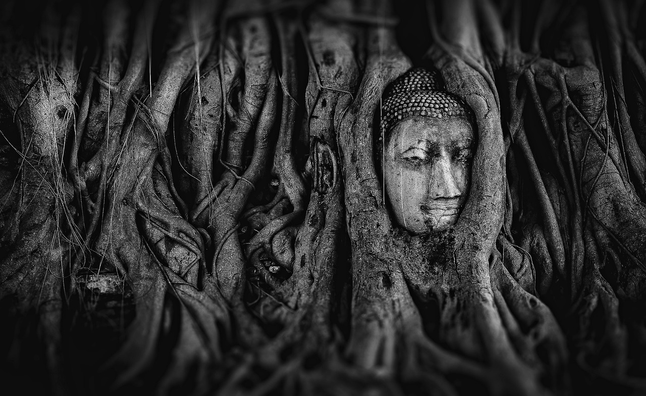 牧神记最新章节阅读，神秘世界奇幻之旅探索