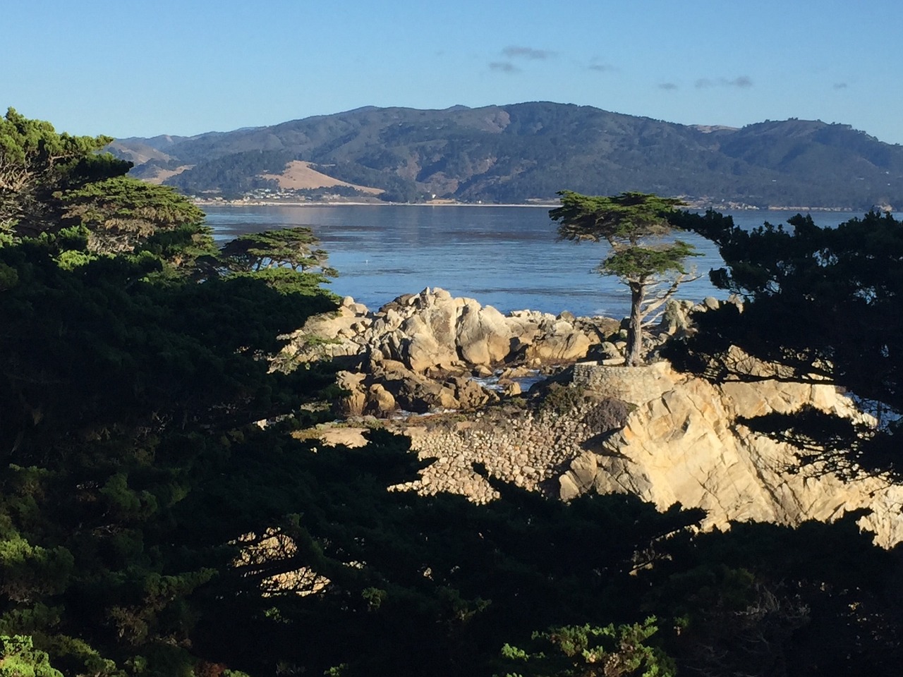 紫薇一号西韵最新动态揭秘，前沿科技与生活美学的完美融合之旅